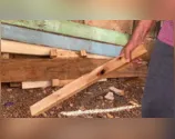 Irmãos se agridem com pedaços de madeira em Faxinal