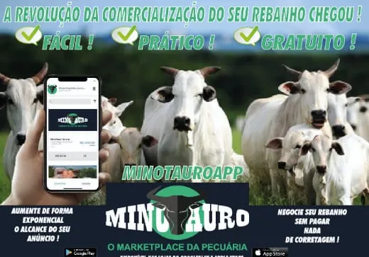 Paranaense lança MinotauroApp para comercialização de rebanho