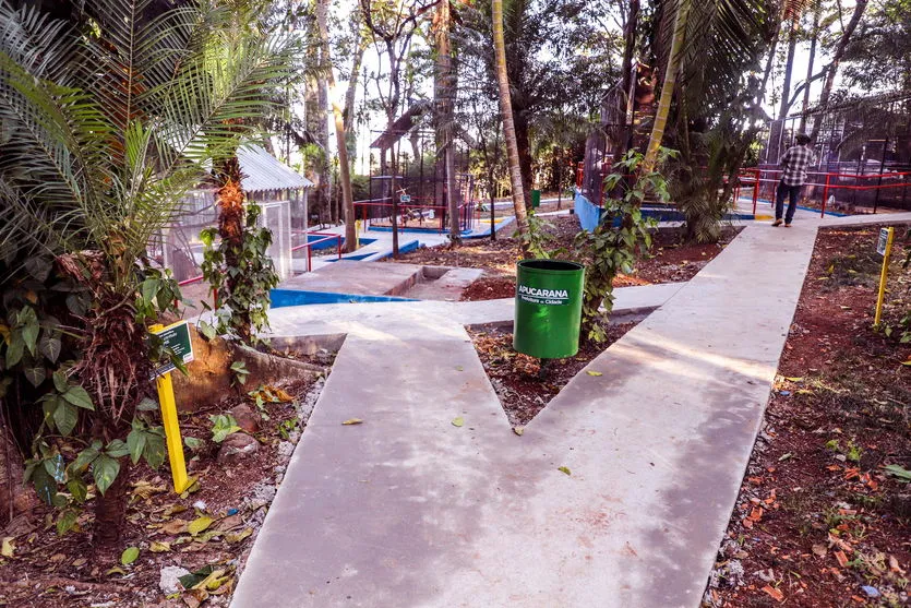 Prefeitura revitaliza Bosque Municipal de Apucarana