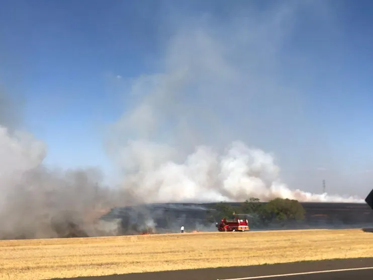 Bombeiros de Arapongas combatem incêndio as margens da BR 369