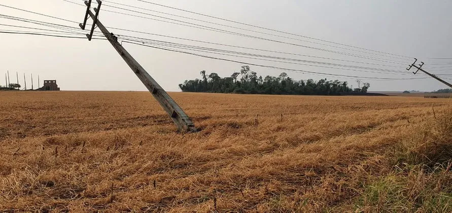 Temporal e chuva de granizo derrubam postes e árvores no Paraná