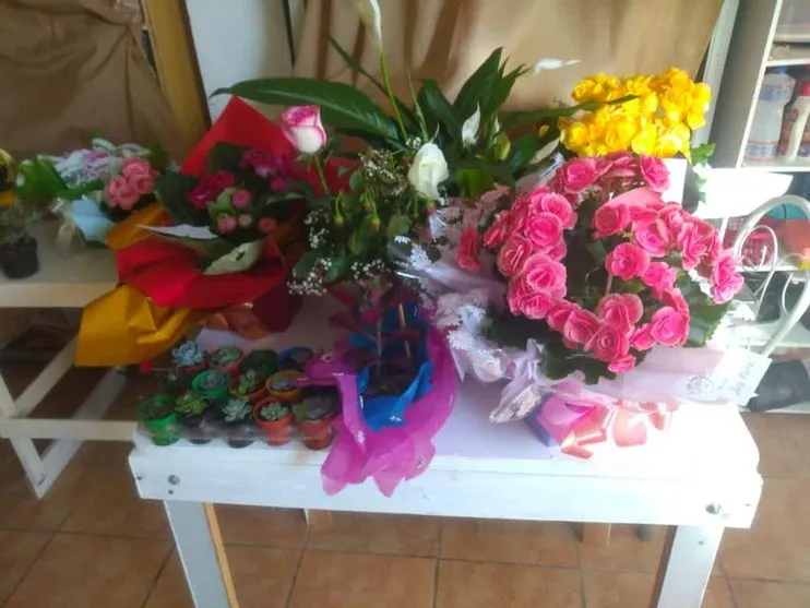 Idoso chora após ser acusado de roubo, história viraliza e moradores doam dezenas de flores