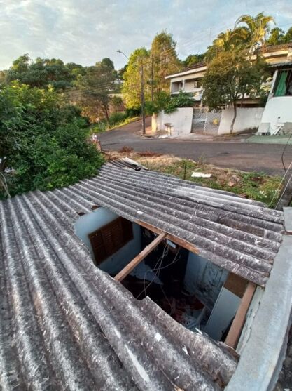 Vaca assusta família após cair do telhado de casa no PR