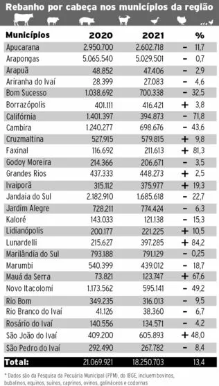 Rebanhos recuam 13,4% na região, mostra pesquisa do IBGE