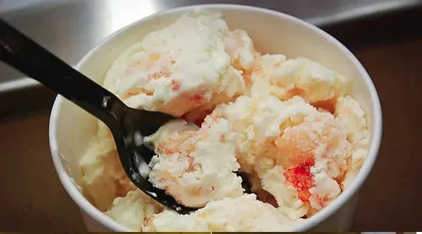 De carne de cavalo à lagosta: conheça os sorvetes mais bizarros