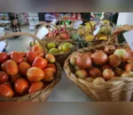 Paraná promove ações contra o desperdício de alimentos