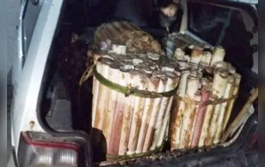 Denúncia via 181 prende suspeito de transporte de palmito ilegal no Litoral do Estado -
