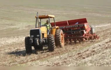 Por conta das chuvas, agricultores tiveram poucos dias cheios para colocar o maquinário nas lavouras