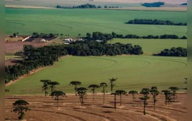 O valor das terras no estado tem condicionantes em análise no Caderno Regional Agropecuário