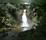 Cachoeira Chicão - Faxinal