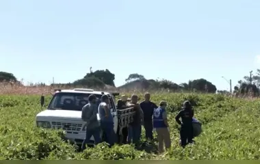 Agricultor morre após ser atropelado por trator em Londrina