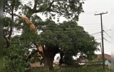 Tempestades atingem o Paraná e interrompem fornecimento de energia