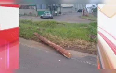 Tora de madeira atingiu motociclista na PR-160