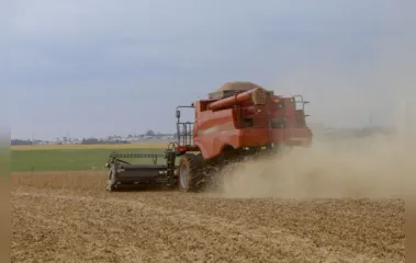 Boletim agropecuário analisa projeção da Conab sobre safra de grãos