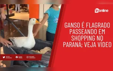 Ganso é flagrado passeando em shopping no Paraná
