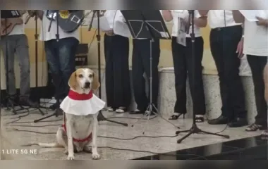 Cão adotado por padre usa roupa de coroinha e participa das missas