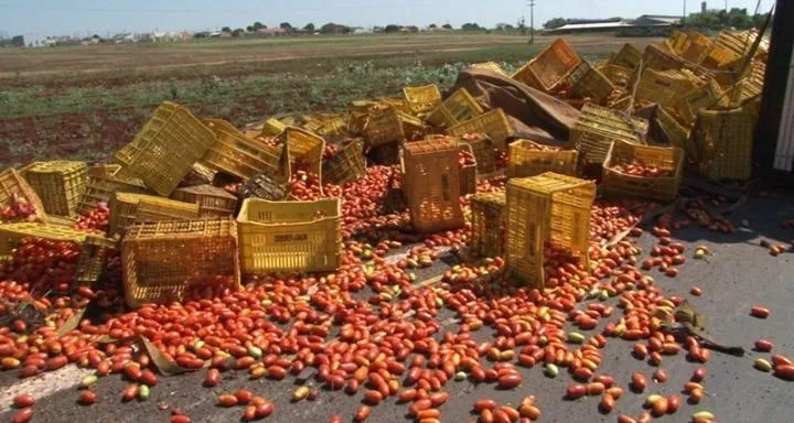 Carreta carregada com tomate tomba e carga fica espalhada pela pista