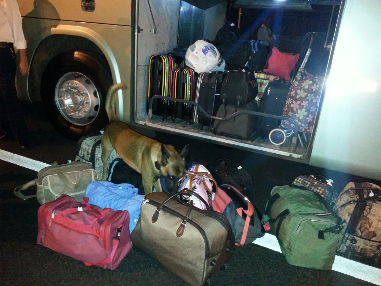 Passageiro de ônibus é preso transportando maconha na mala em Apucarana