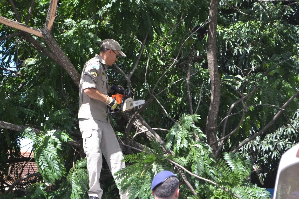 GM colide viatura contra árvore durante perseguição em Arapongas