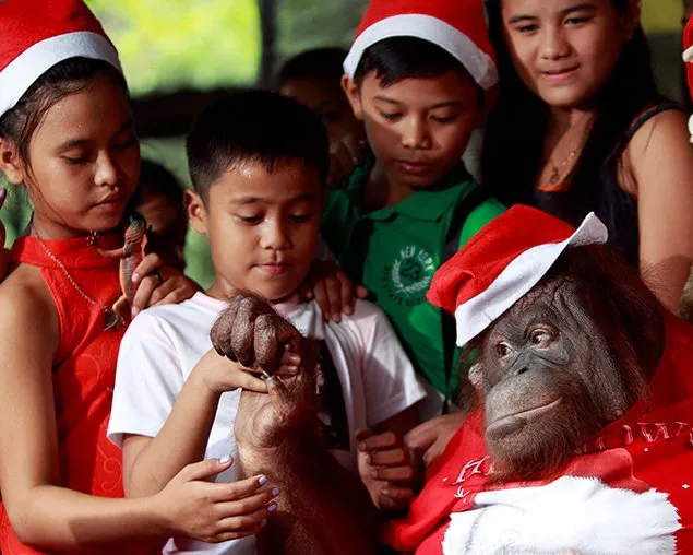 Crianças órfãs celebram o Natal em zoo nas Filipinas com animais 'vestidos' de Papai Noel