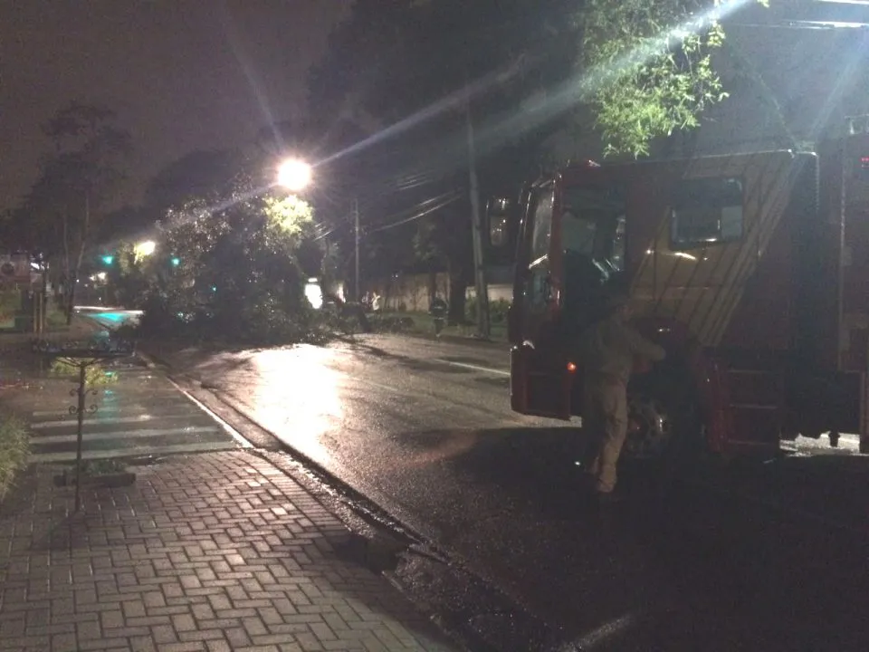 Árvore cai sobre carro em Curitiba e trânsito fica bloqueado