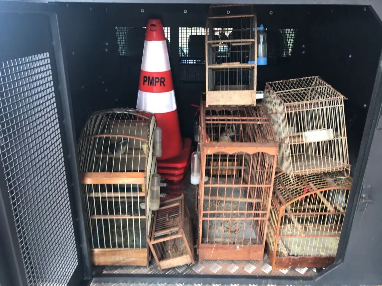 Polícia Ambiental resgata oito aves silvestres em cativeiro na região