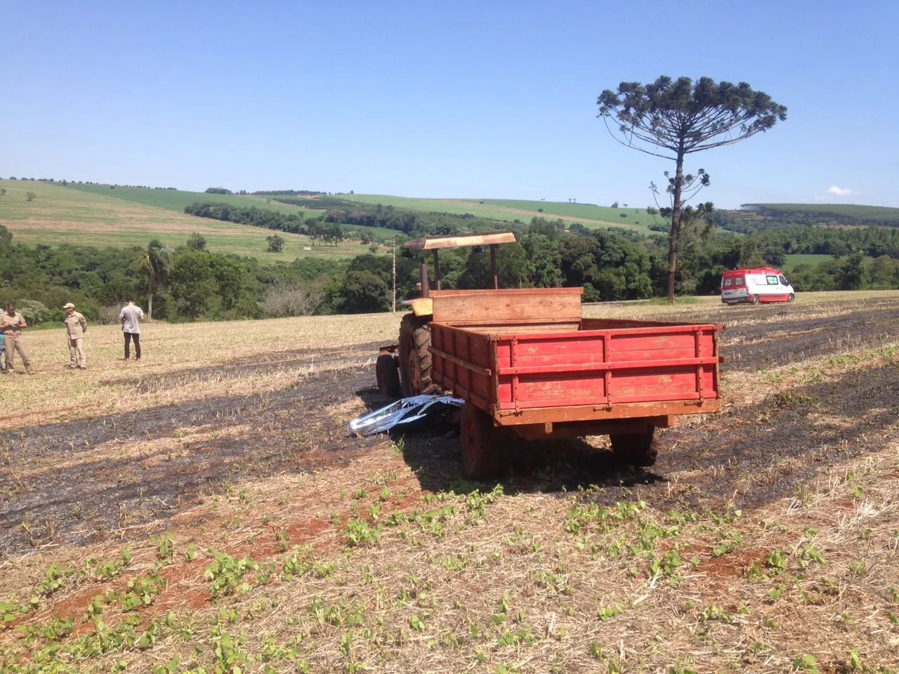 Agricultor morre eletrocutado em Arapongas 
