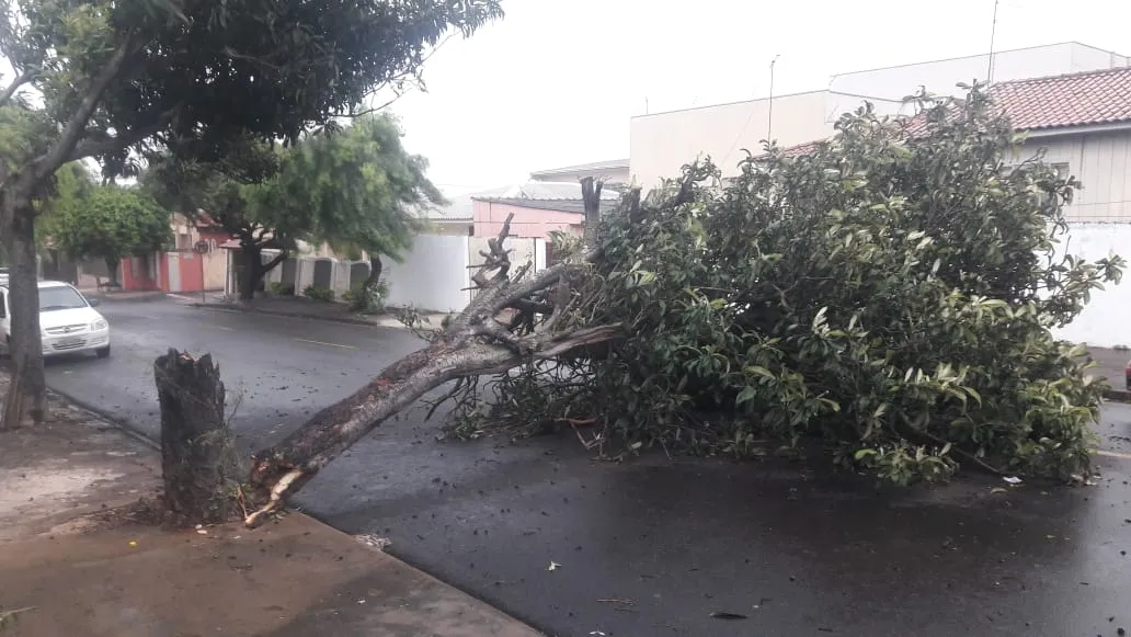 Tempestade com ventos de 107 km/h causa estragos em Apucarana