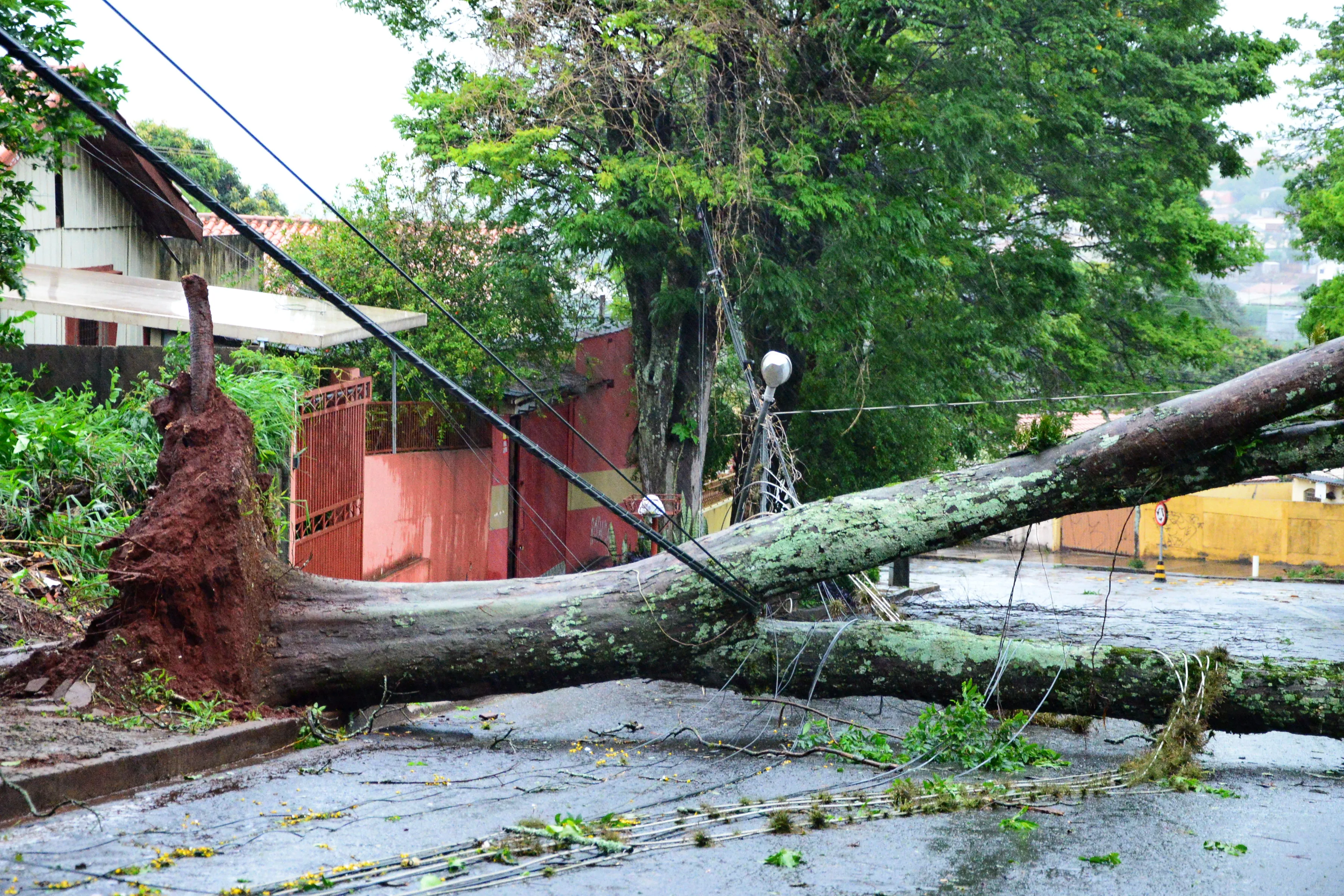 Tempestade com ventos de 107 km/h causa estragos em Apucarana