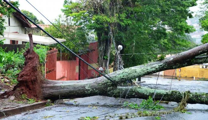 Prefeito coloca equipes municipais em alerta para risco de temporal em Apucarana