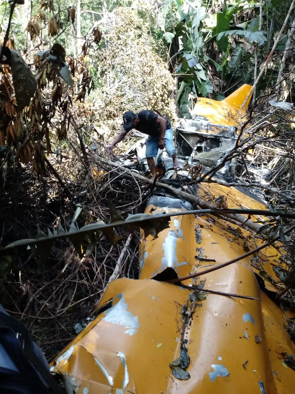 Piloto se perdeu em mata após queda de avião, se alimentou de bolachas e usou capacete como proteção em MT