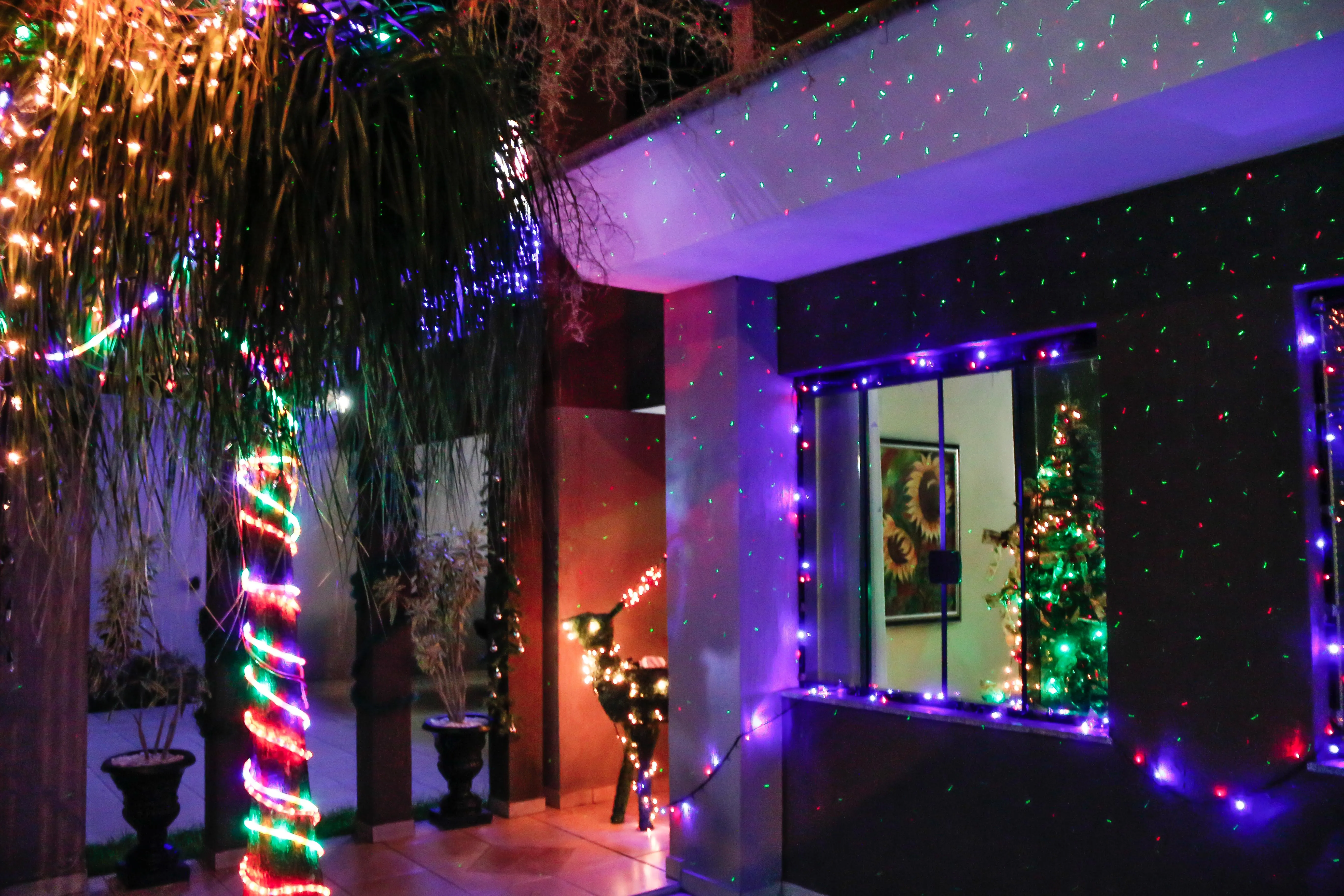 Prefeitura de Apucarana lança concurso de decoração natalina