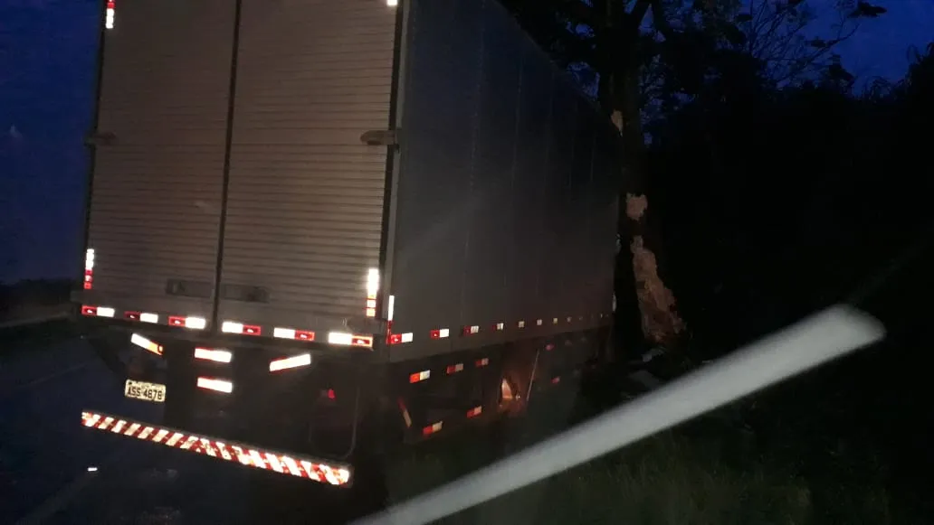 Caminhão sai da pista e bate contra árvore no Contorno Sul de Rolândia