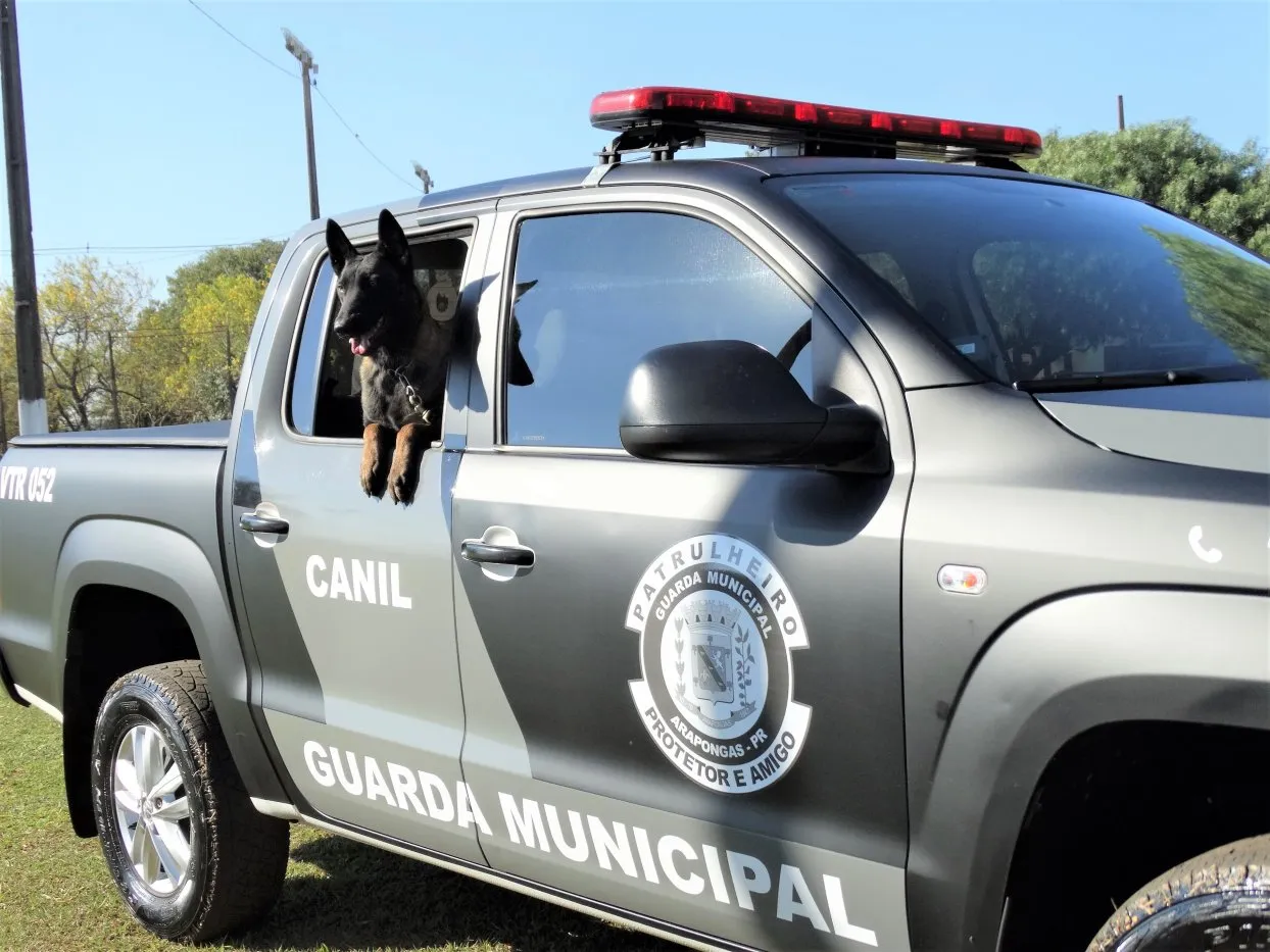Dois novos cães são incorporados no Canil Integrado de Arapongas