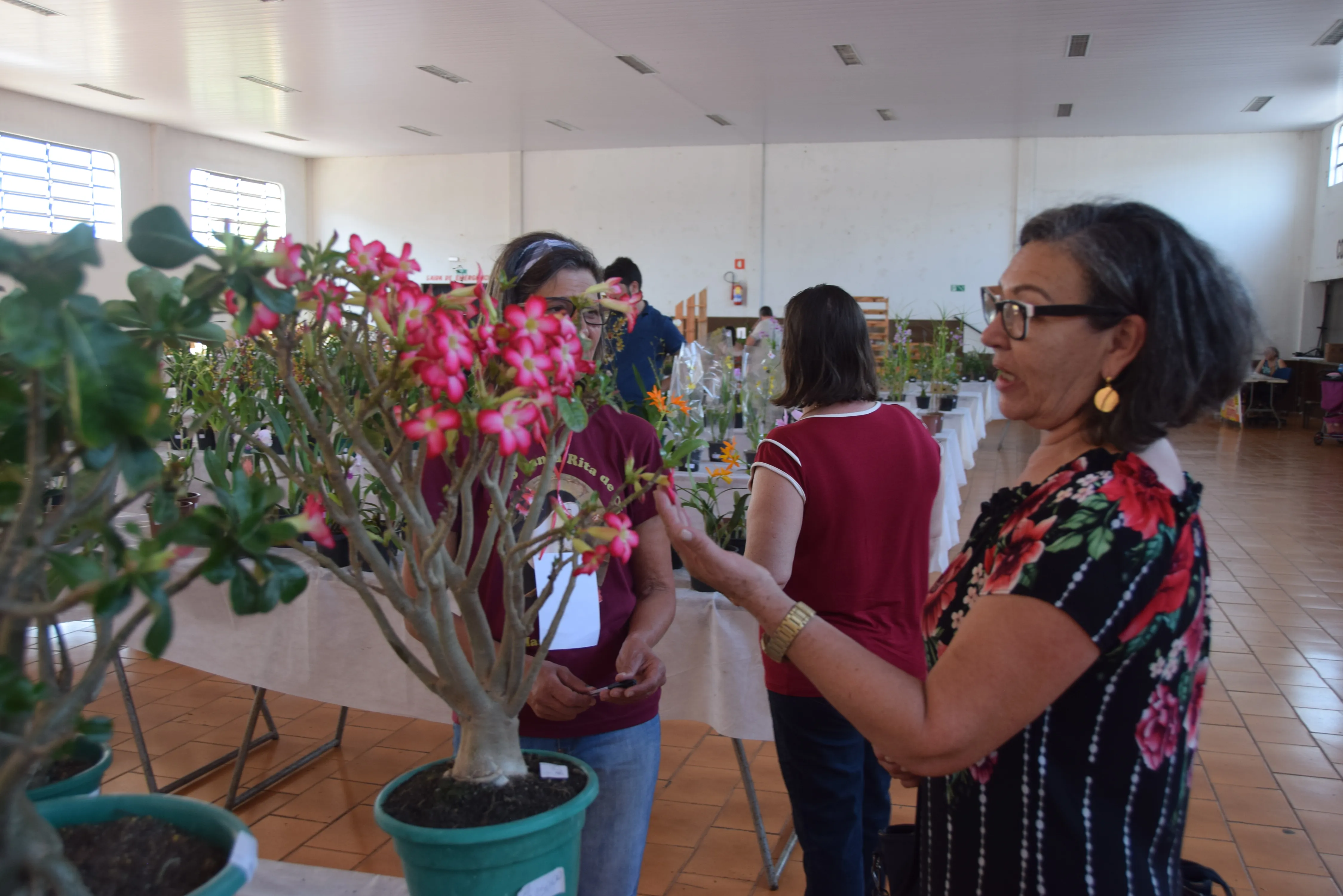 Exposição de Flores em Jardim Alegre supera expectativas