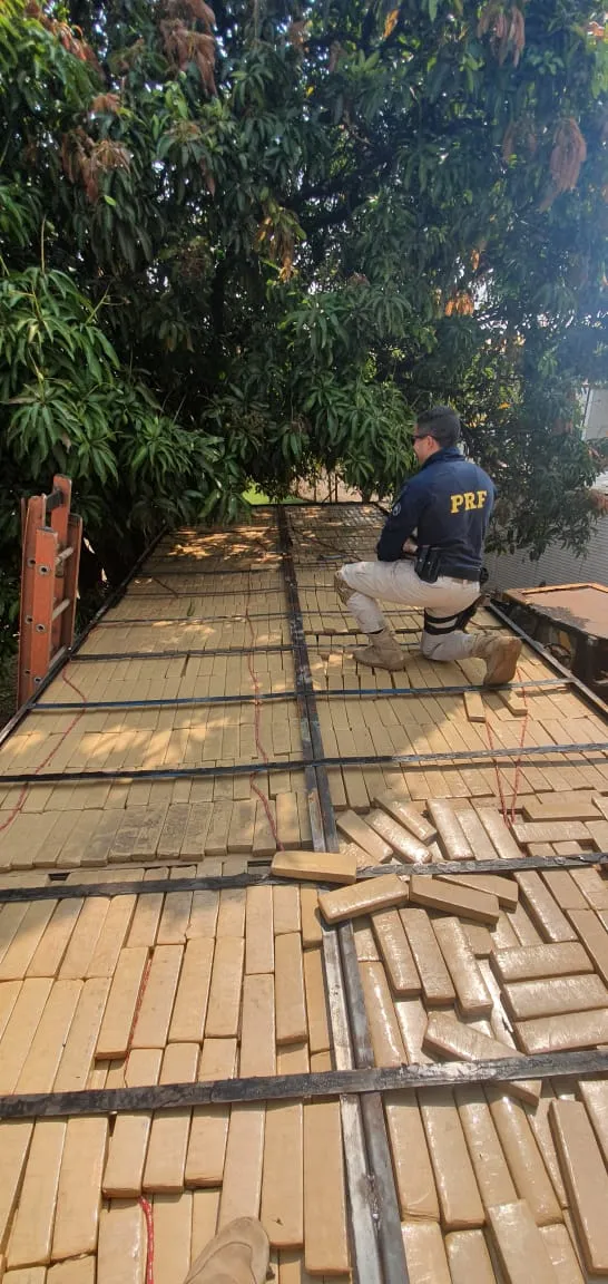 PRF apreende mais de 500 kg de maconha em Cambé; droga seria levada para São Paulo
