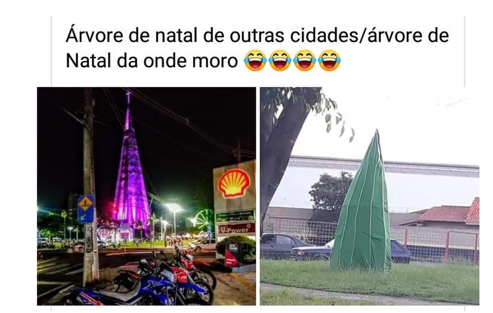 Árvore de Natal da Prefeitura de Rio Claro vira meme na internet