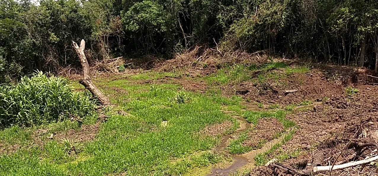 Polícia Ambiental autua proprietário rural por danos ambientais em Kaloré