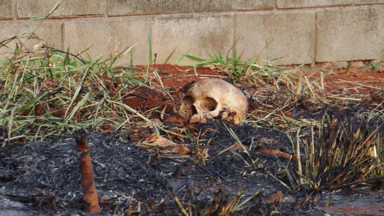 Possível ossada de criança é encontrada em terreno baldio, em Cambé
