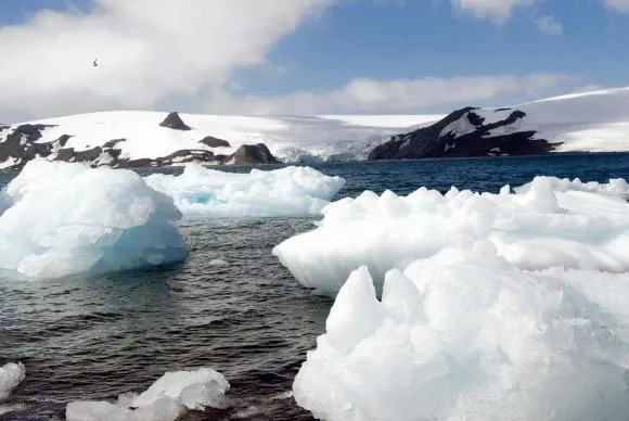 Antártida terá maior reserva de conservação marinha do planeta