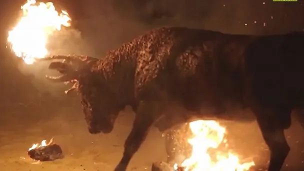 Touro é incendiado durante festival na Espanha; veja vídeo