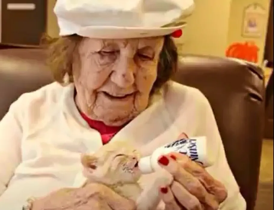 Parceria entre asilo e abrigo de animais auxilia tratamento de idosos com problemas de memória
