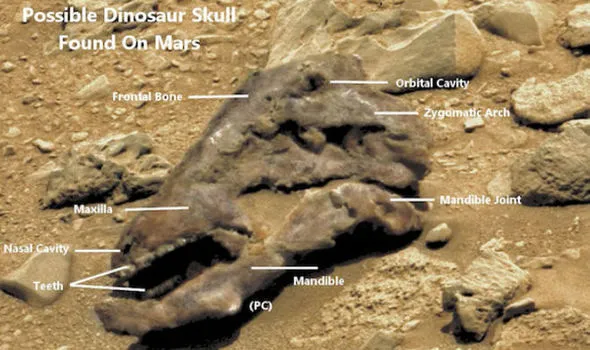 Para ufólogos, imagem da NASA revela suposto crânio de dinossauro em Marte
