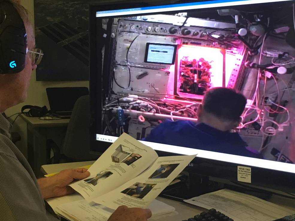 NASA cria 'estufa' para astronautas plantarem alimentos em estação espacial 