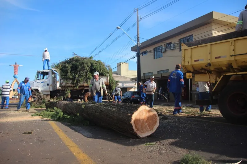 Prefeitura realiza corte de árvores no Cemitério Cristo Rei 