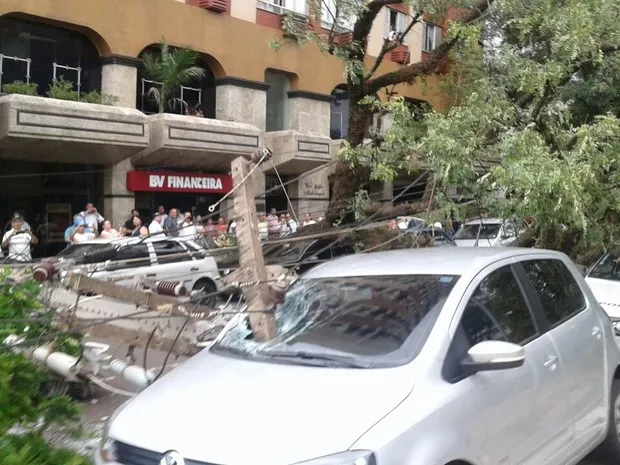 Árvore cai, derruba dois postes e  4 veículos são danificados em Maringá