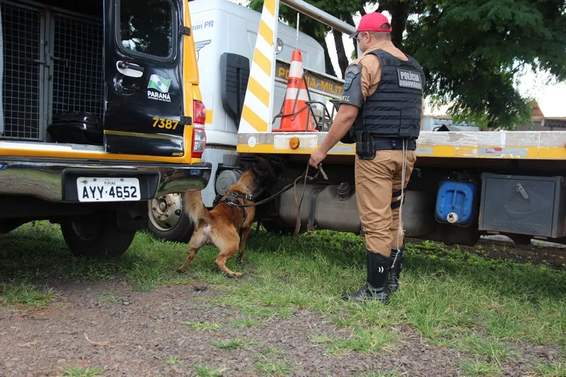 Polícia Militar promove encontro de canis em Arapongas