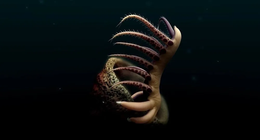 Oceanógrafos canadenses filmam monstro submarino de 500 milhões de anos 