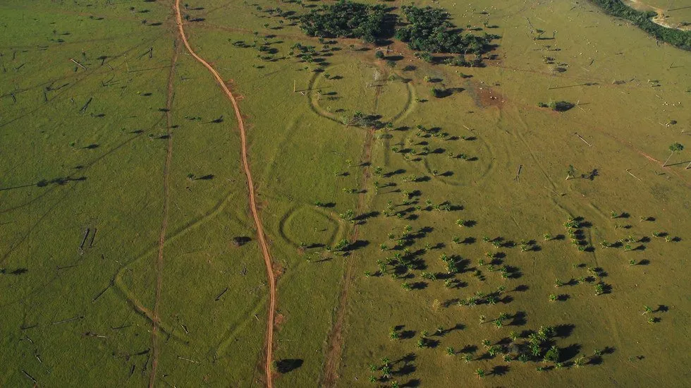 450 geoglifos localizados na Floresta Amazônica intrigam cientistas