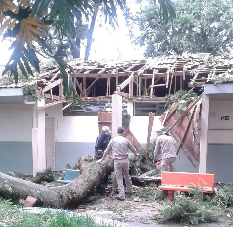 Galho de árvore cai e danifica telhado de escola em Arapongas